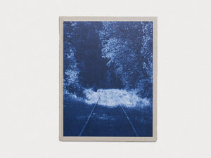 Ecstatic Nature - Antenne Books