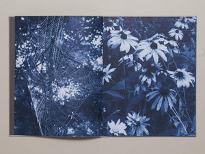 Ecstatic Nature - Antenne Books