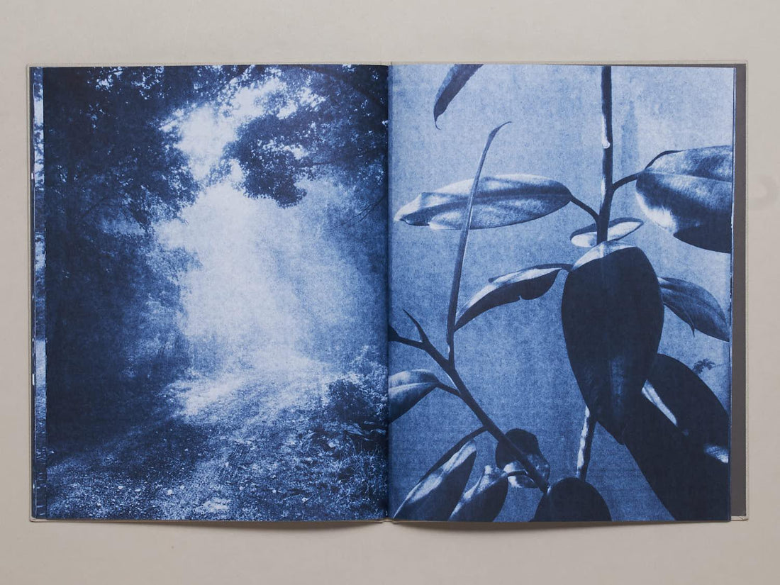 Ecstatic Nature - Antenne Books