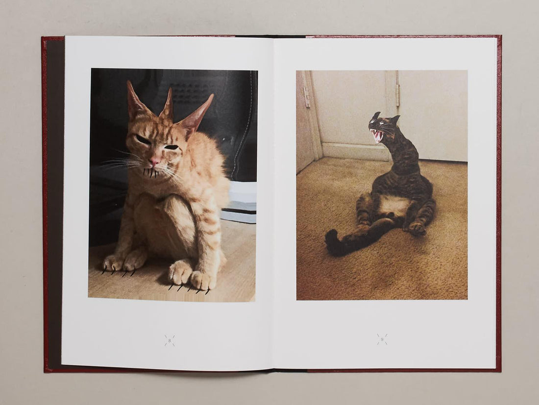 Very charming animals : CATS - Antenne Books