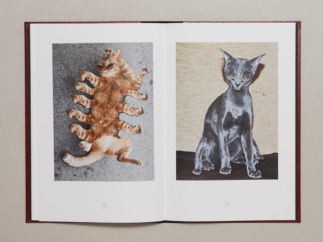 Very charming animals : CATS - Antenne Books