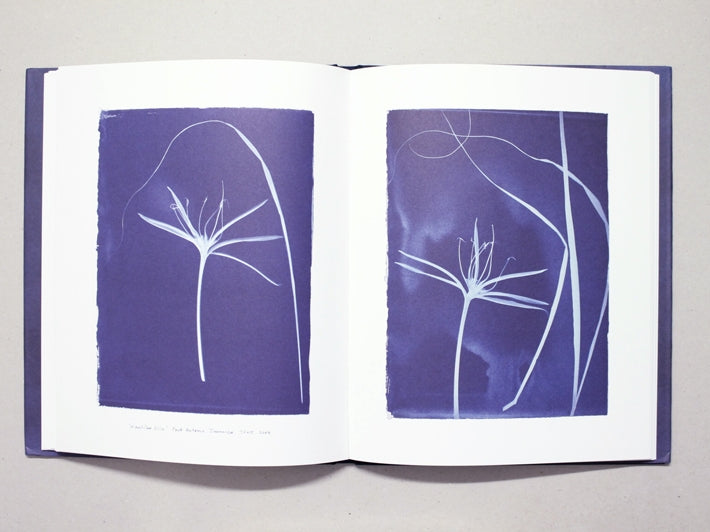 Conversations with Blue