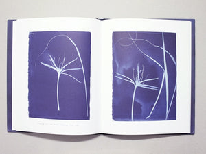 Conversations with Blue