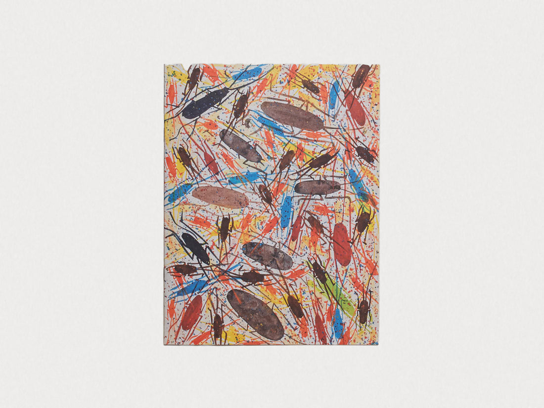 A Rare Gift of the Tropics