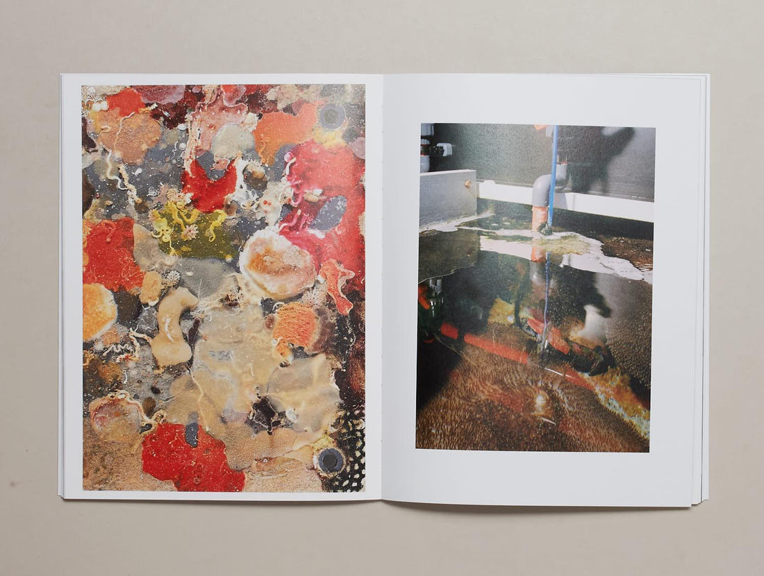 Water Column - Antenne Books