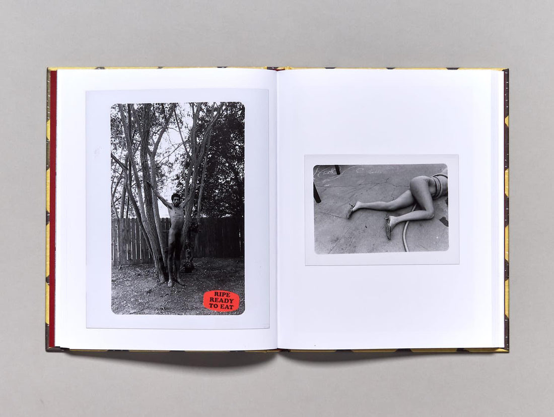 Eye For A Sty, Tooth For The Roof - Antenne Books