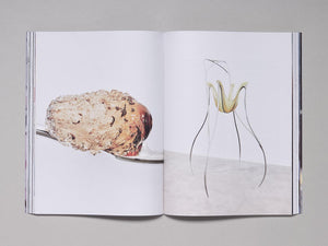 ALEÏ JOURNAL Issue 11 - Antenne Books