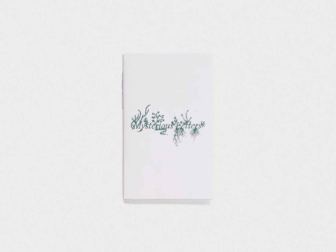 Mysterious Letters: Language, Science, and the Voynich Manuscript