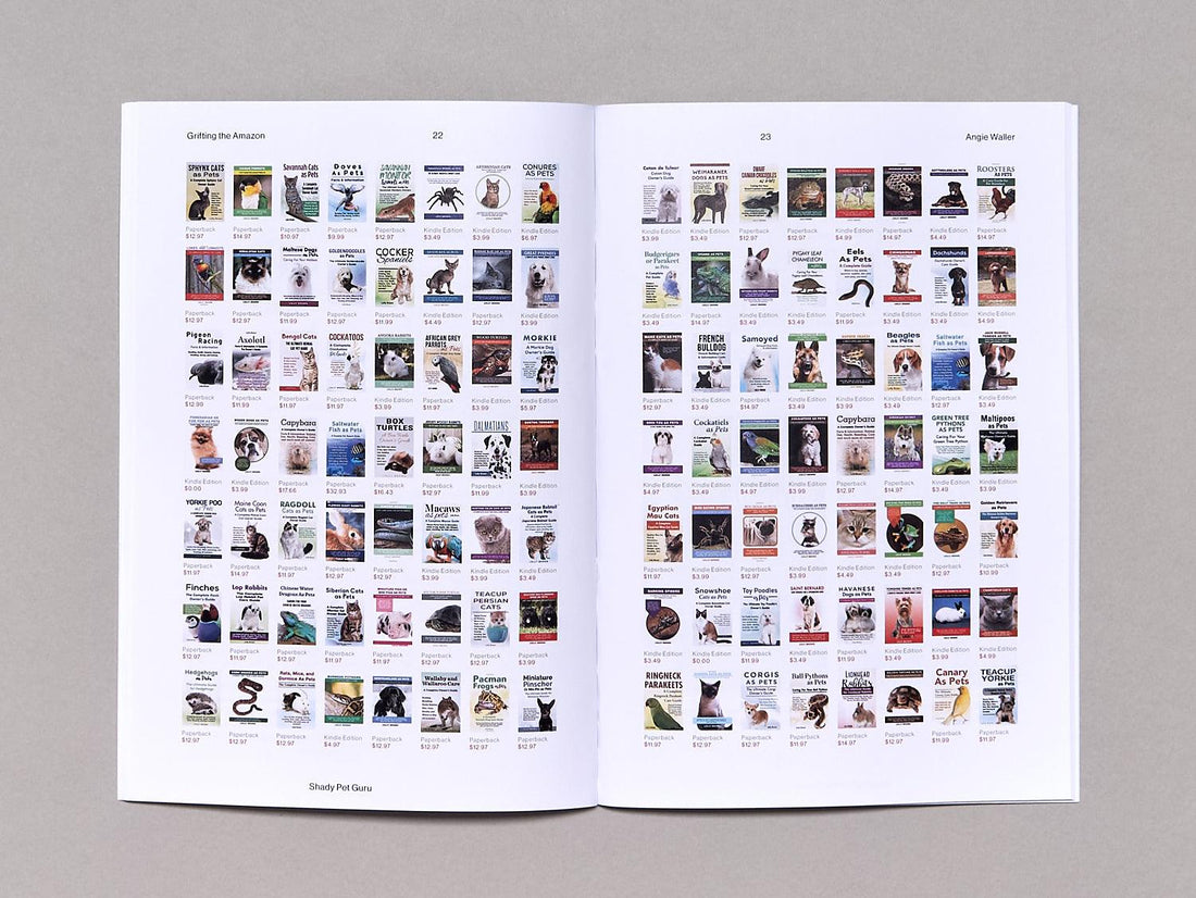 Grifting the Amazon - Antenne Books