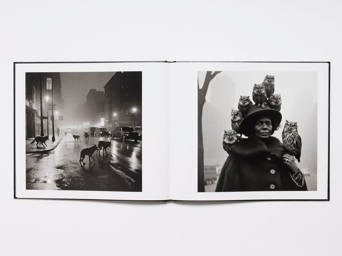 Another America - Antenne Books