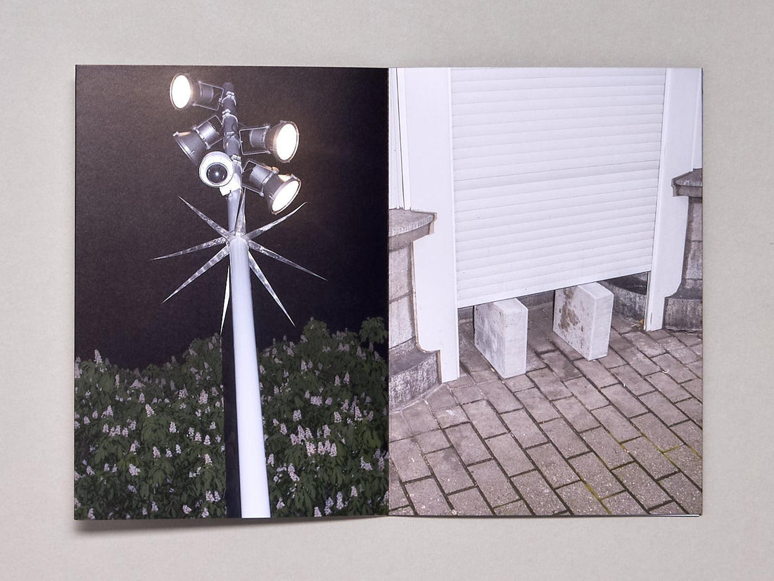 My Homies - Antenne Books