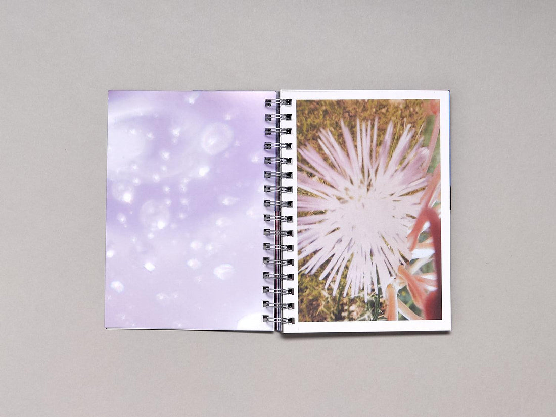 Cinco Elementos - Antenne Books