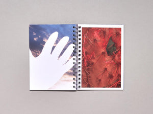 Cinco Elementos - Antenne Books