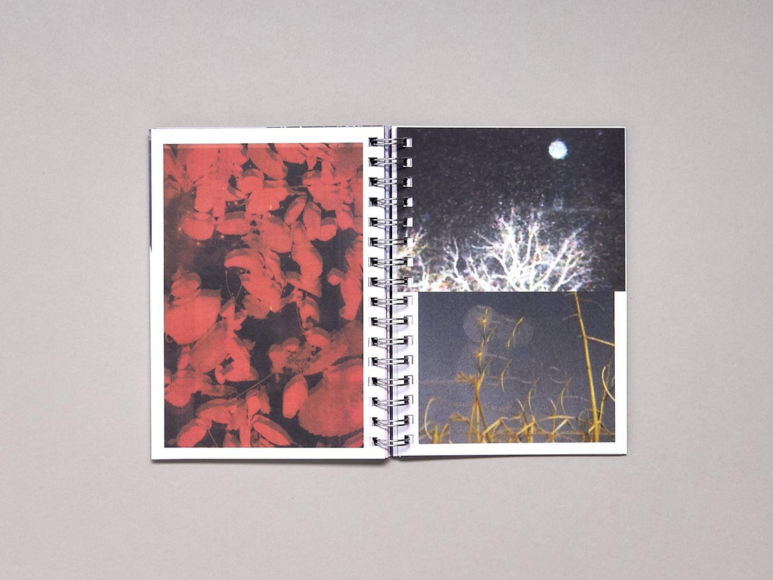 Cinco Elementos - Antenne Books