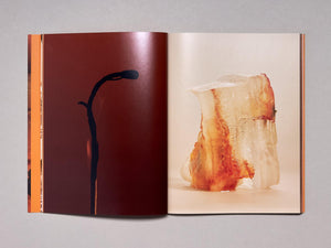 Sindroms Issue 8: Orange - Antenne Books