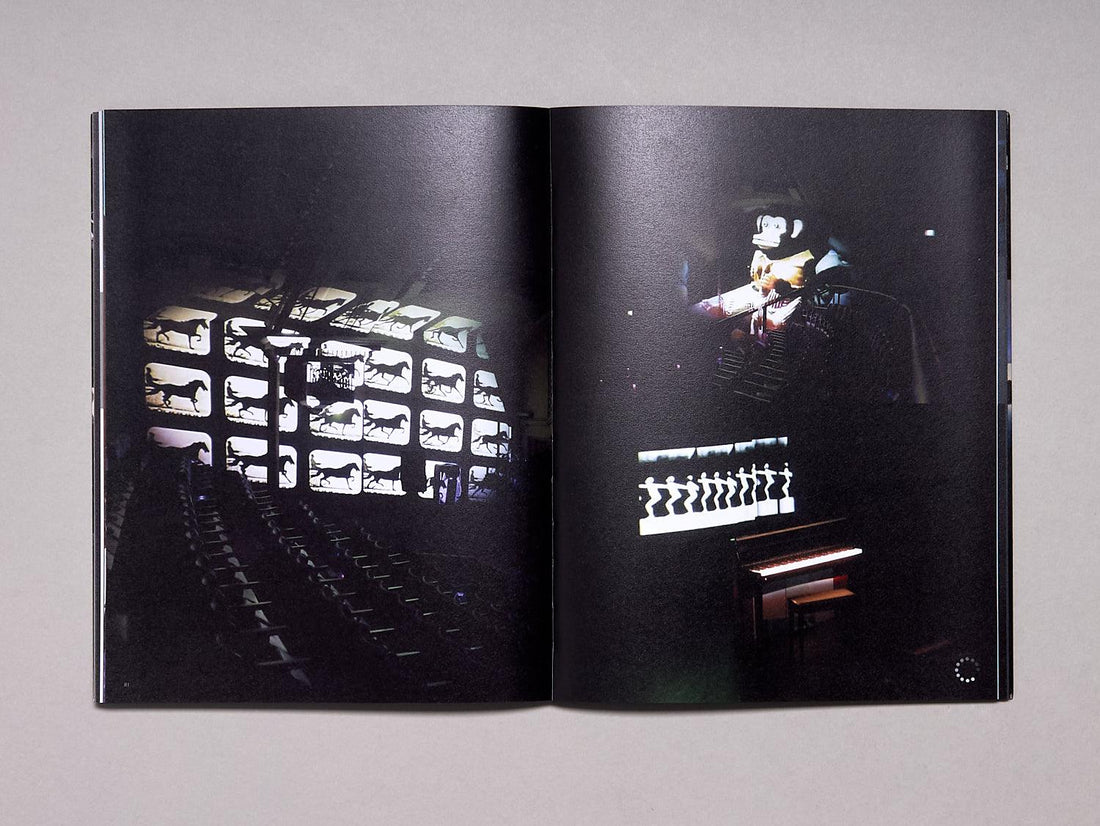 Startle: Torsten Lauschmann - Antenne Books