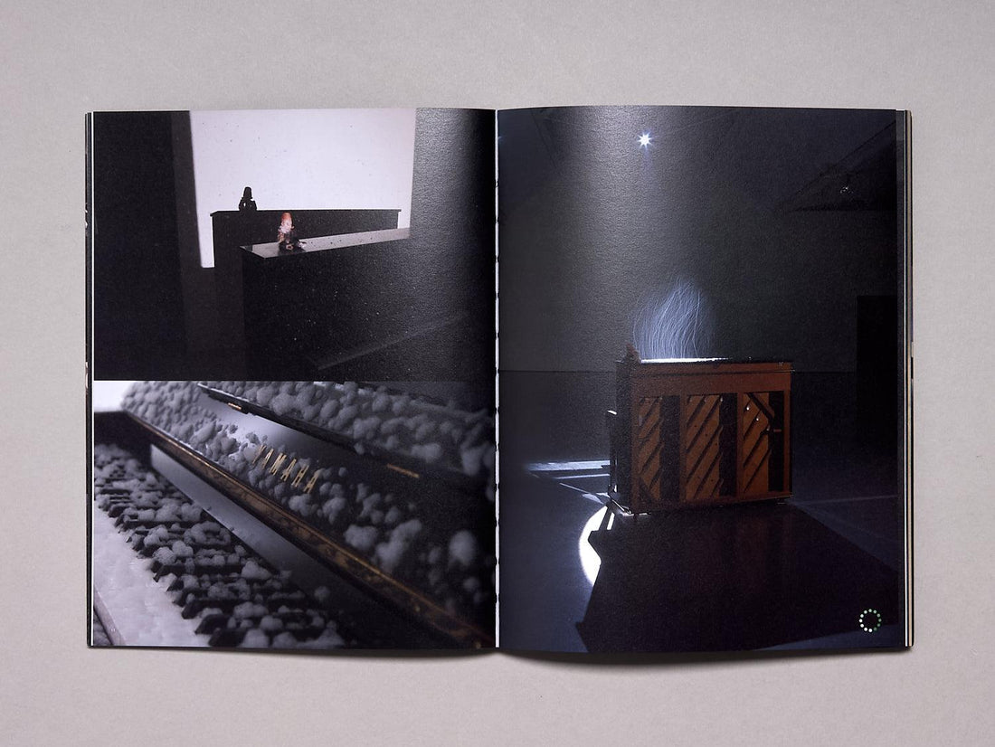 Startle: Torsten Lauschmann - Antenne Books