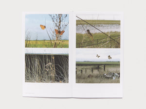 Silicon Fen: Suky Best, Susan Collins, Dalziel + Scullion, Annabel Howland, Stephen Hughes, TNWK - Antenne Books