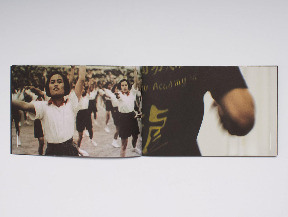 Faster, Higher: susan pui san lok - Antenne Books