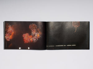 Faster, Higher: susan pui san lok - Antenne Books