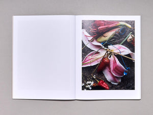 SIDEWALK STILLS - Antenne Books