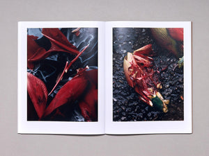 SIDEWALK STILLS - Antenne Books