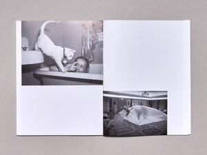 American A - Antenne Books