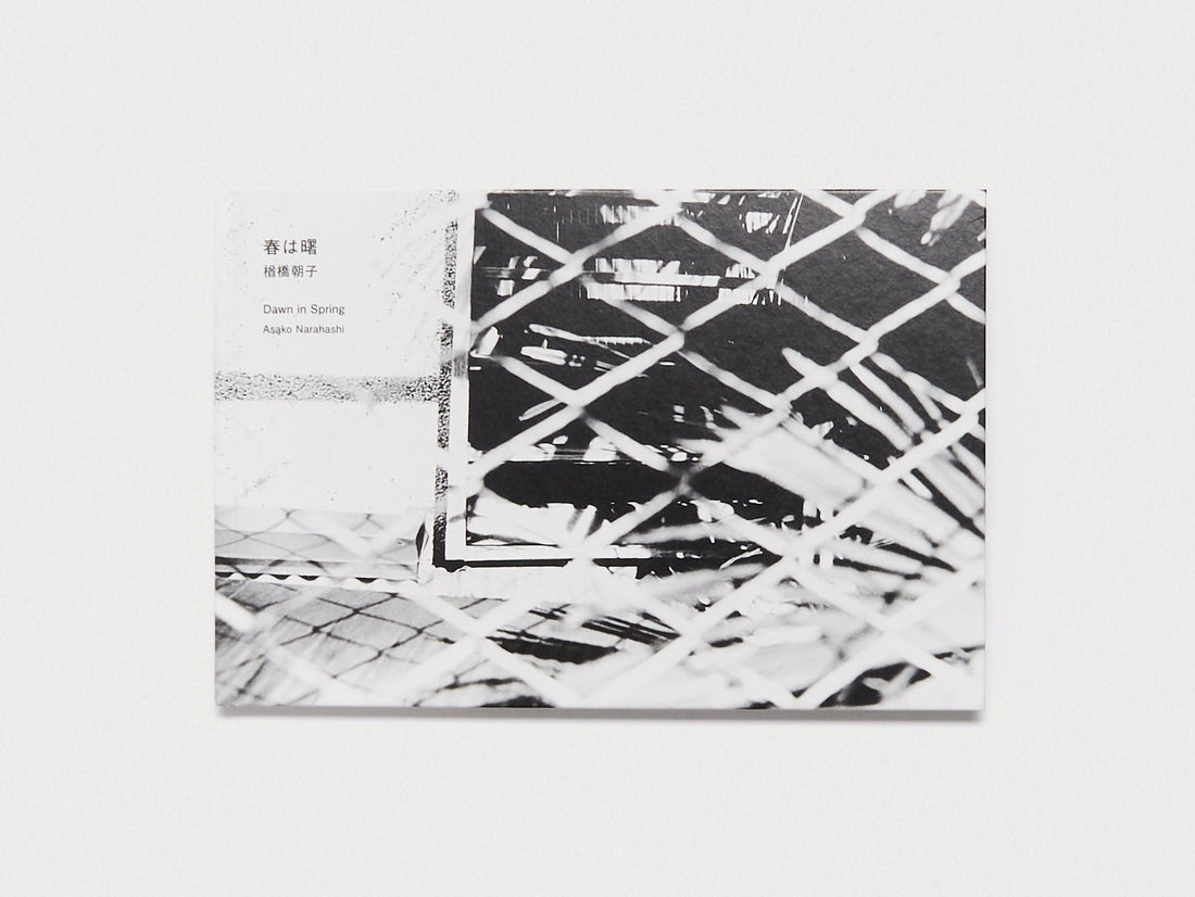 Dawn in Spring - Antenne Books