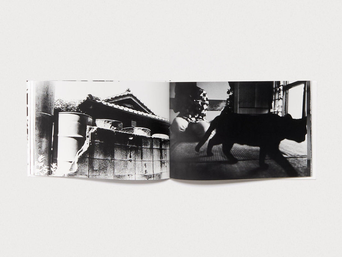 Dawn in Spring - Antenne Books