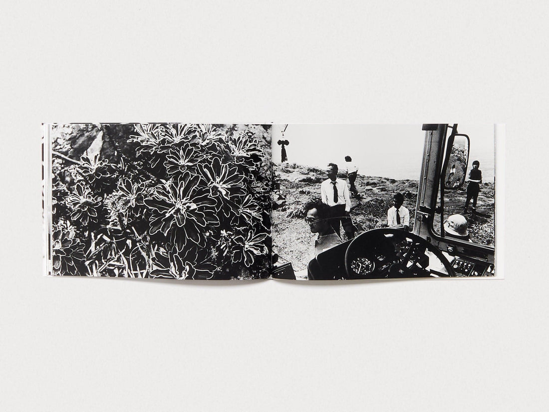 Dawn in Spring - Antenne Books