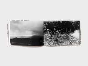 Dawn in Spring - Antenne Books