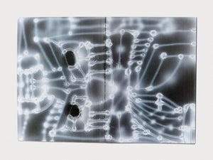 Everyday - Antenne Books