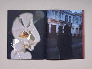 NiiJournal IV: Pride? - Antenne Books