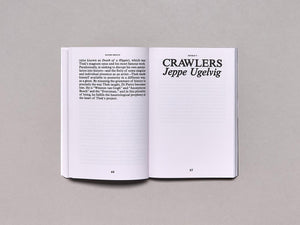 Alessandro Di Pietro: Ghostwriting Paul Thek - Antenne Books