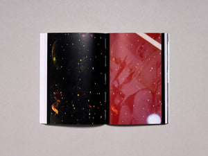 Alessandro Di Pietro: Ghostwriting Paul Thek - Antenne Books