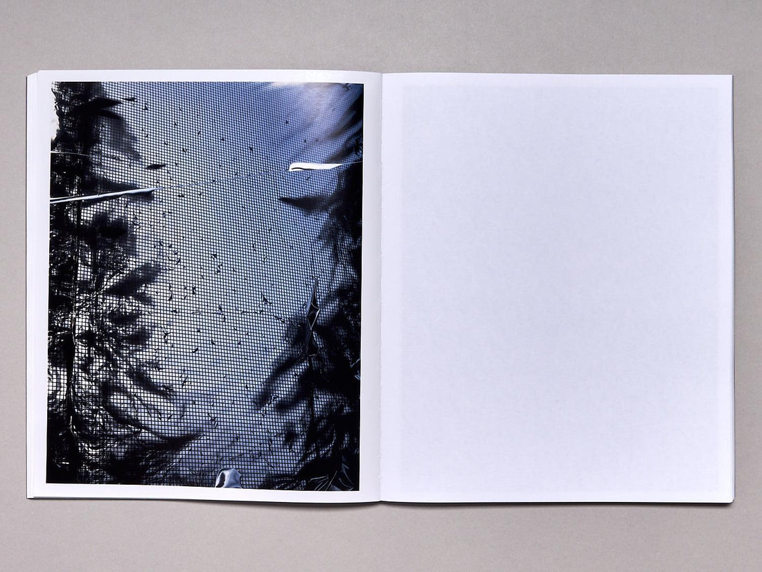 Plastic Pulse - Antenne Books