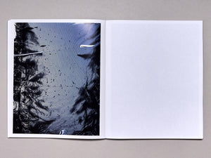 Plastic Pulse - Antenne Books