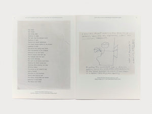 Matt Mullican's Pure Projection Landscapes - Antenne Books