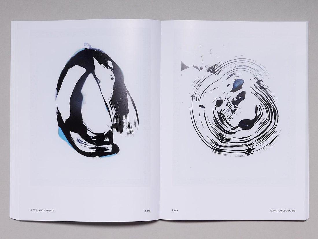 197 LANDSCAPES OF ABSTRACTION - Antenne Books