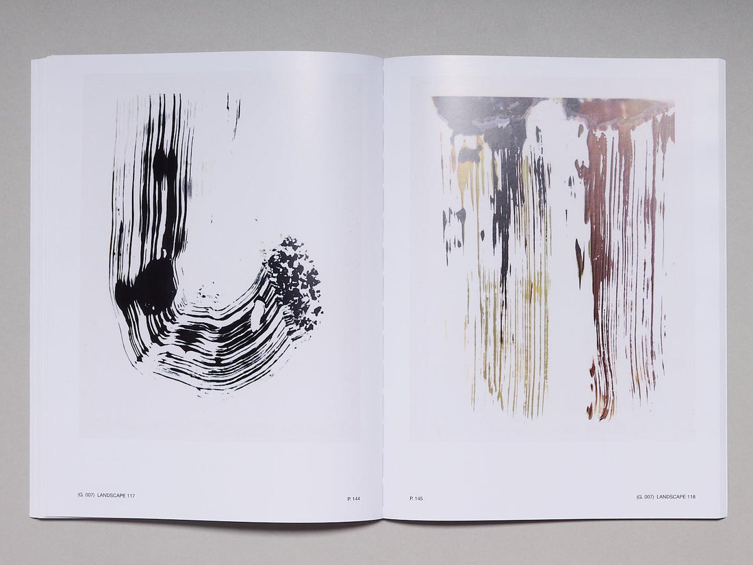 197 LANDSCAPES OF ABSTRACTION - Antenne Books