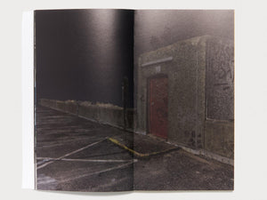 The Perfect Crime: Concerning the Murder of Reality - Antenne Books