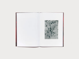 Noema - Antenne Books