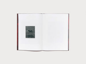 Noema - Antenne Books