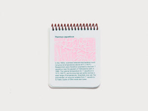 My Favourite Microbes: A Bacteria Field Guide - Antenne Books