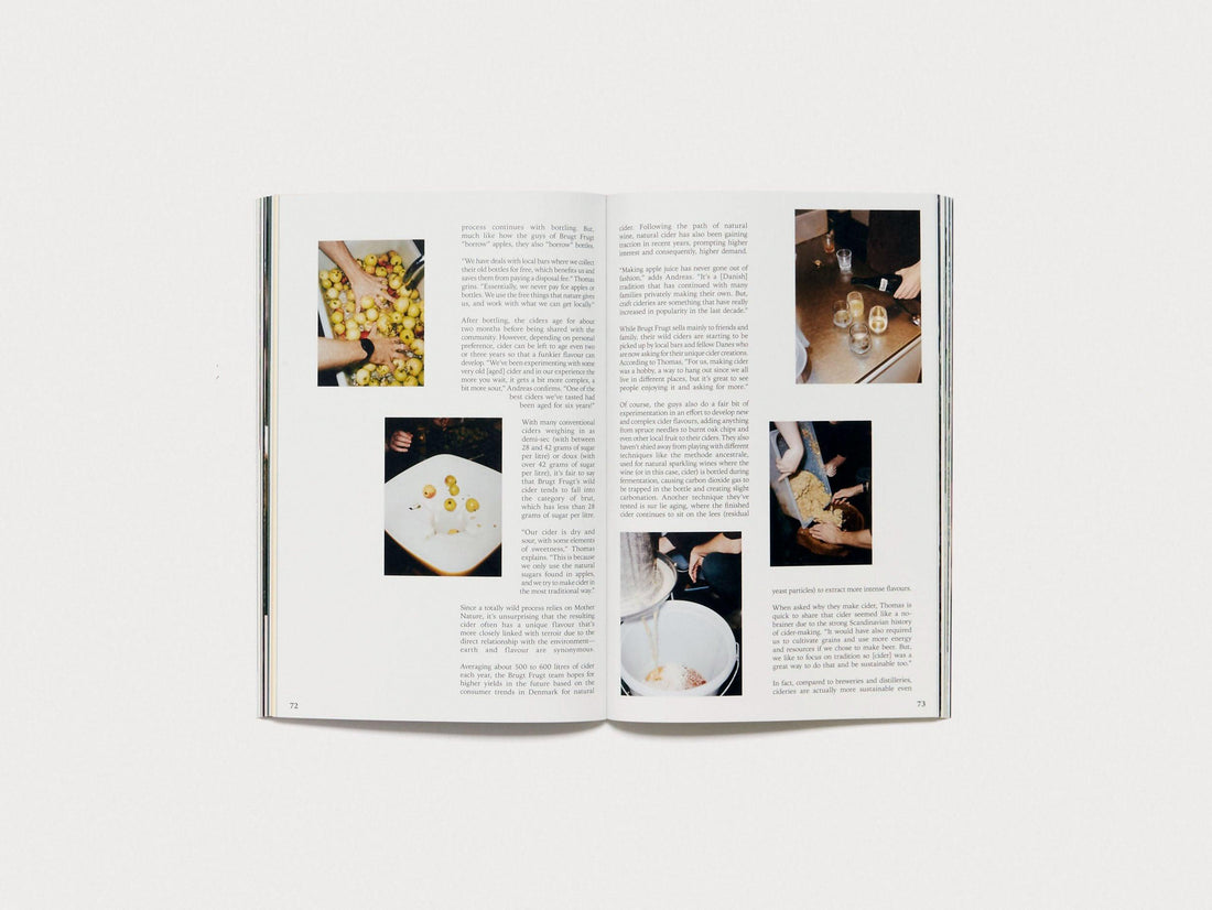 The Preserve Journal Issue no 8 - Antenne Books