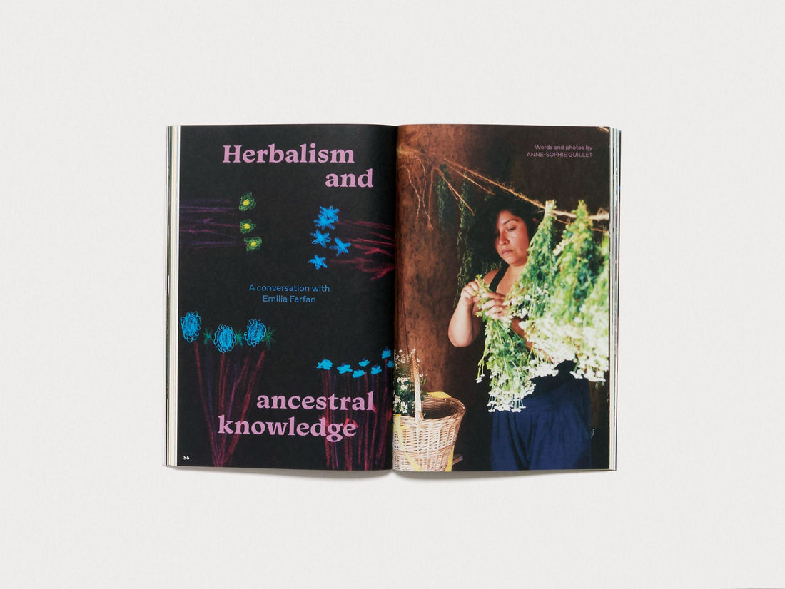 The Preserve Journal Issue no 8 - Antenne Books