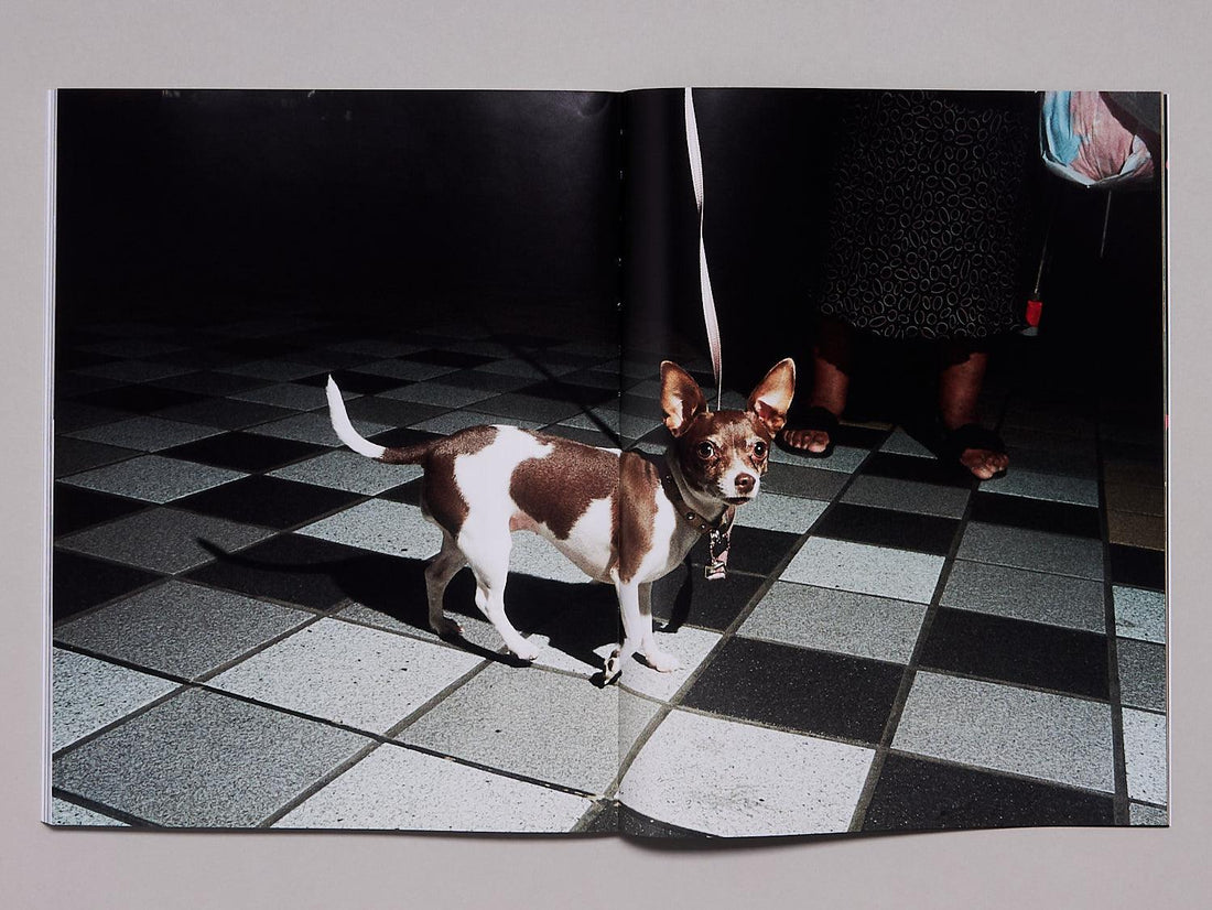 SNUFF MAGAZINE ISSUE 5 - Antenne Books