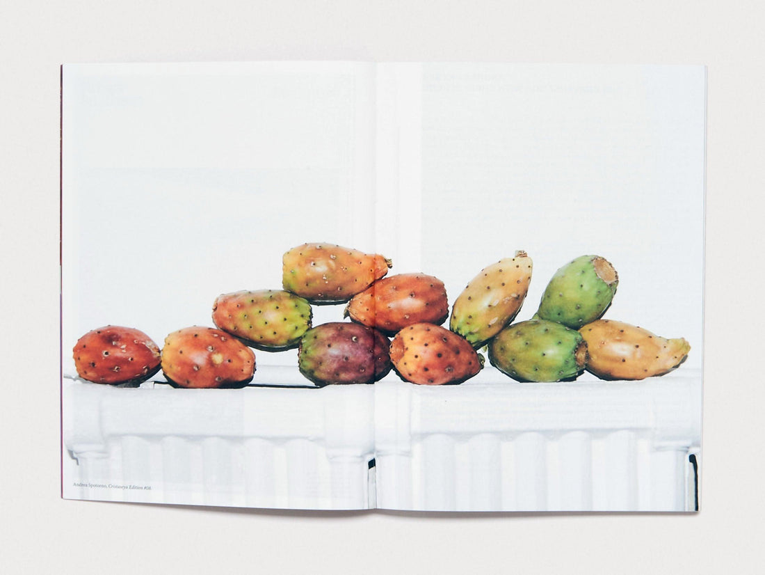 MATTO (Issue #8) - Antenne Books