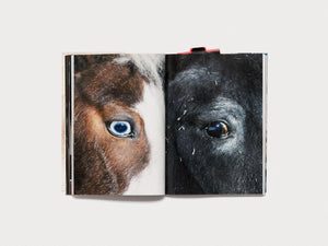 Cult* Issue 1 - Antenne Books