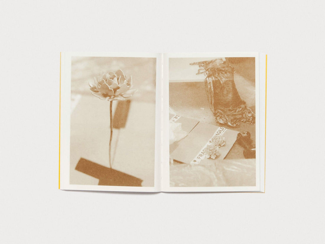 Vasilis Papageorgiou: Sunseekers or Dimming the Sun or - Antenne Books